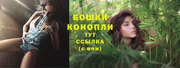 шишки Балахна