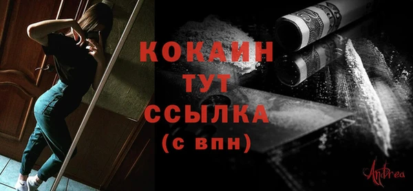 шишки Балахна
