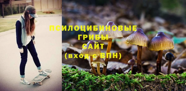 дурь Баксан