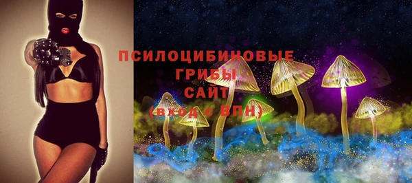 шишки Балахна
