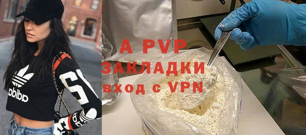 шишки Балахна